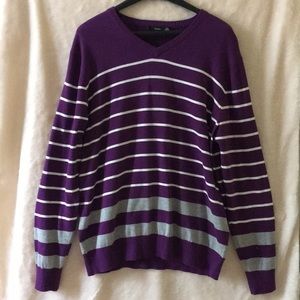 Men's Standard Fit V- Neck Sweater